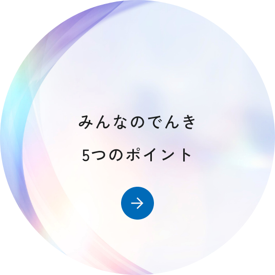 みんなのでんき5つのポイント